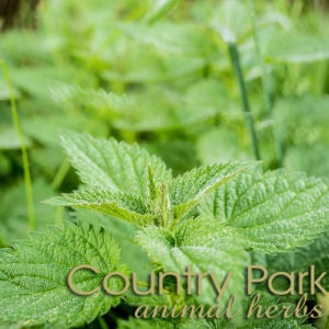Country Park Herbs - Nettle Leaf 1kg