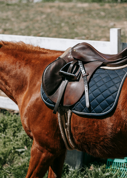 Saddles