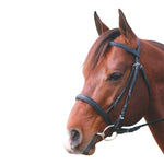Eureka - Leather Snaffle Cavesson Bridle