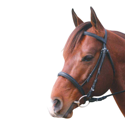 Eureka - Leather Snaffle Cavesson Bridle