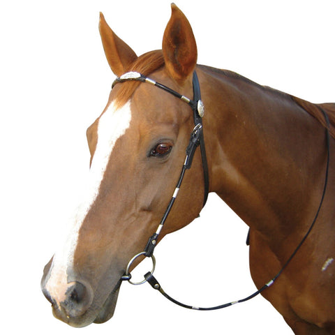 Navaho - Poco Silver Ferrule Bridle