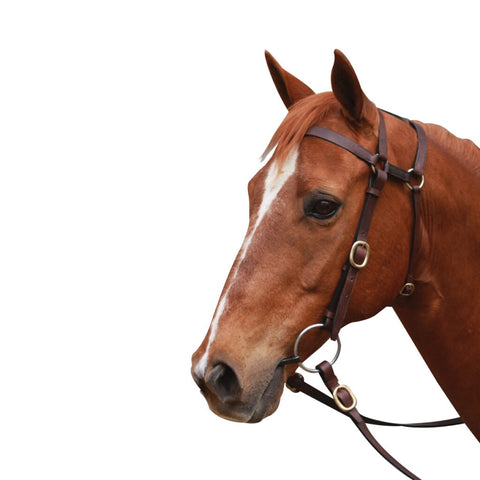 Showcraft - Extended Head Barcoo 3/4 inch