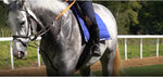 Zilco - Long Puffer Pad Saddle Cloth