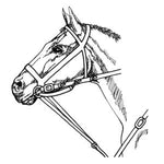 GG - Market Harborough Martingale