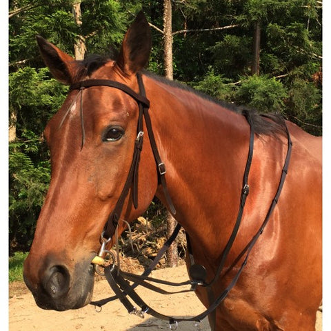 GG - Market Harborough Martingale