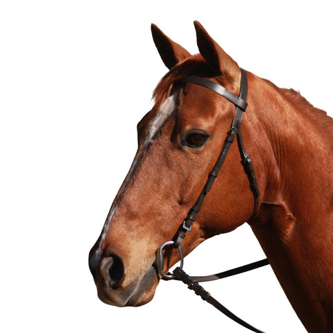 Eureka - Plain Snaffle Bridle