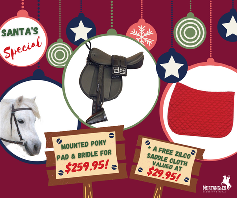 Pony Pad + Bridle + FREE saddle cloth